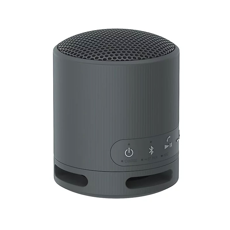 Sony XB100 Wireless Speaker