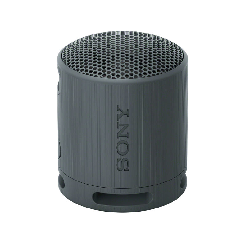 Sony XB100 Wireless Speaker